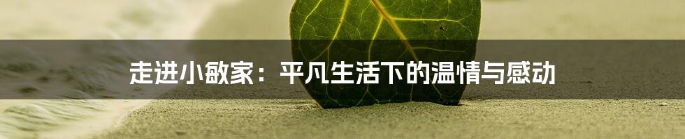 走进小敏家：平凡生活下的温情与感动