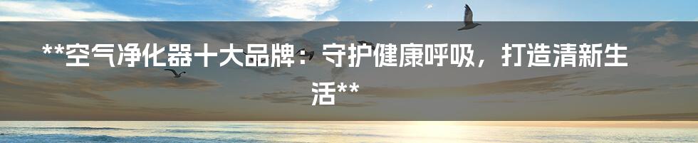 **空气净化器十大品牌：守护健康呼吸，打造清新生活**