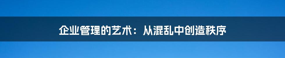 企业管理的艺术：从混乱中创造秩序