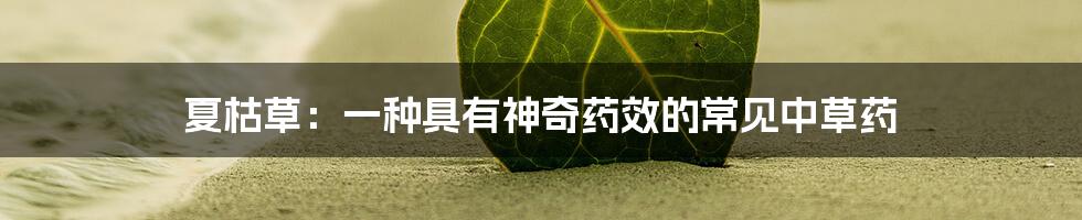 夏枯草：一种具有神奇药效的常见中草药