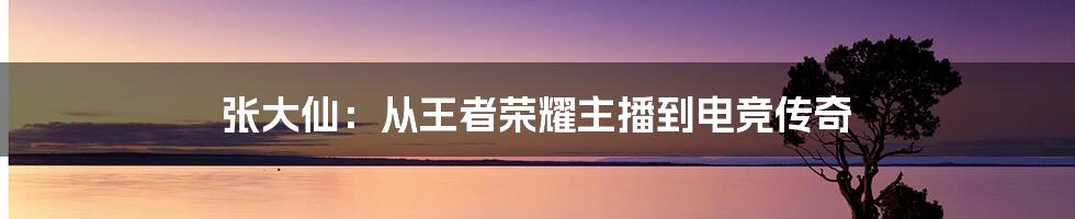 张大仙：从王者荣耀主播到电竞传奇