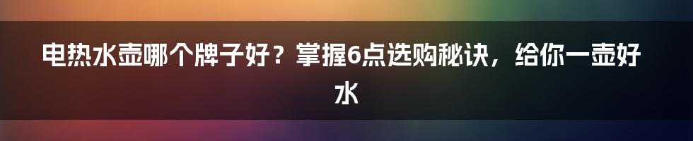 电热水壶哪个牌子好？掌握6点选购秘诀，给你一壶好水