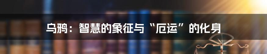 乌鸦：智慧的象征与“厄运”的化身