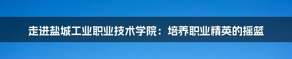 走进盐城工业职业技术学院：培养职业精英的摇篮