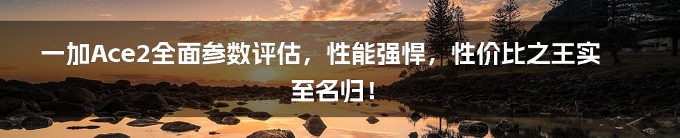 一加Ace2全面参数评估，性能强悍，性价比之王实至名归！