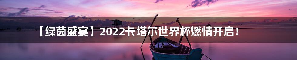 【绿茵盛宴】2022卡塔尔世界杯燃情开启！