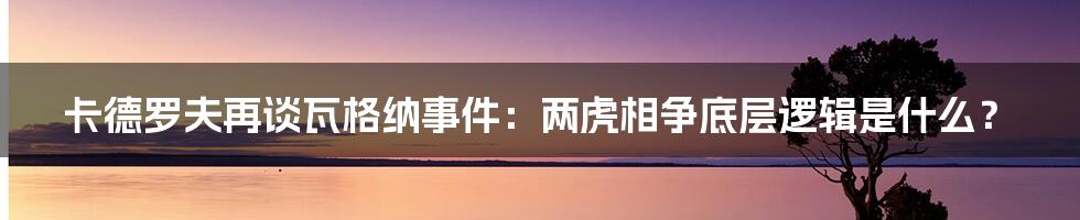 卡德罗夫再谈瓦格纳事件：两虎相争底层逻辑是什么？