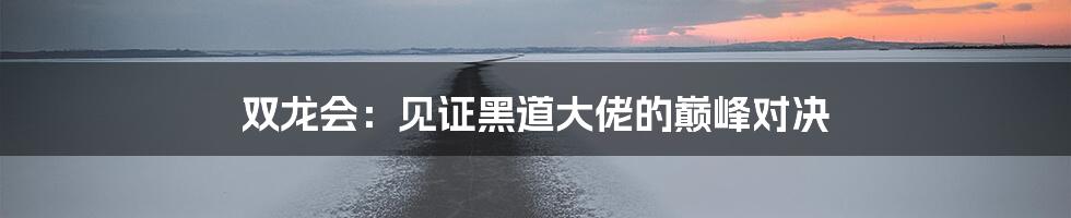 双龙会：见证黑道大佬的巅峰对决