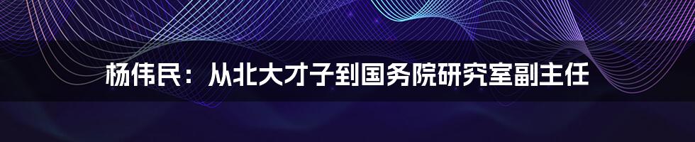 杨伟民：从北大才子到国务院研究室副主任