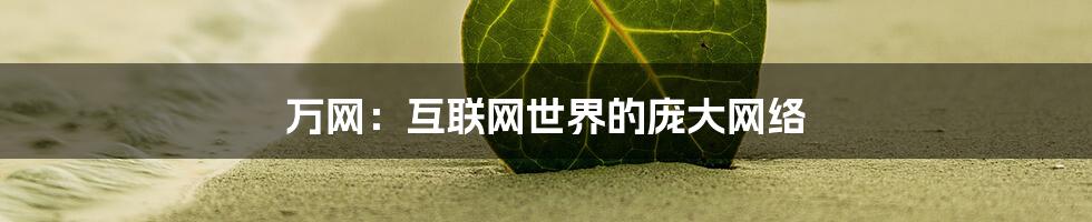 万网：互联网世界的庞大网络