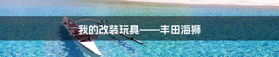 我的改装玩具——丰田海狮