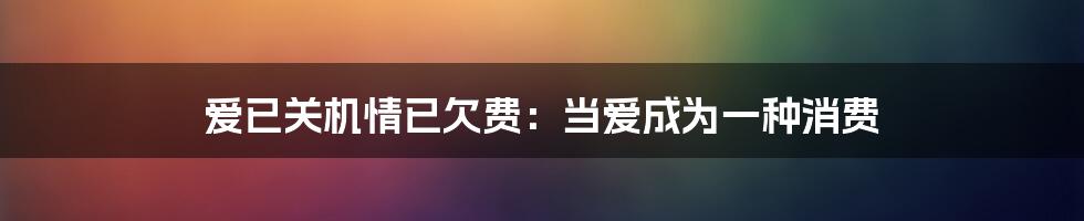 爱已关机情已欠费：当爱成为一种消费