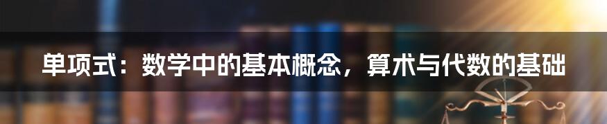 单项式：数学中的基本概念，算术与代数的基础