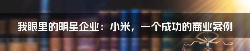 我眼里的明星企业：小米，一个成功的商业案例