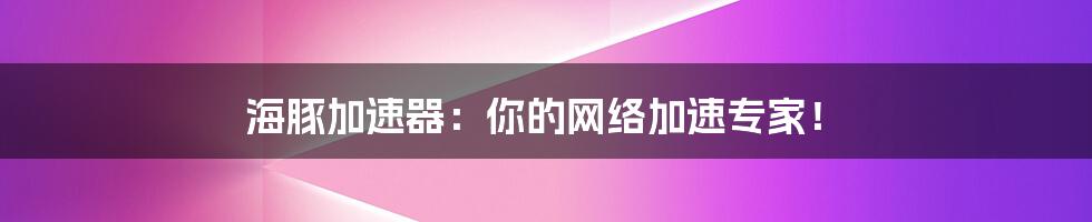 海豚加速器：你的网络加速专家！