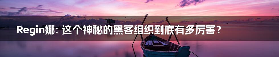 Regin娜: 这个神秘的黑客组织到底有多厉害？