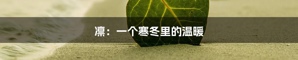 凛：一个寒冬里的温暖