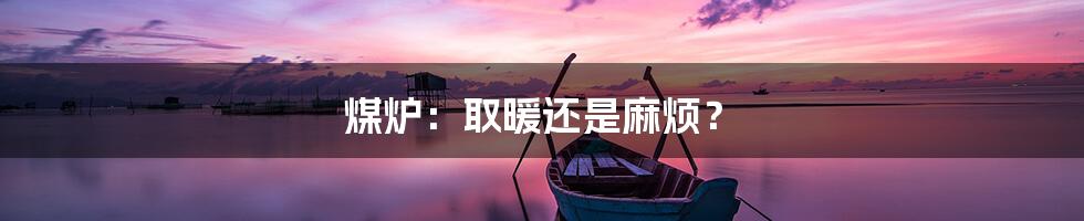 煤炉：取暖还是麻烦？