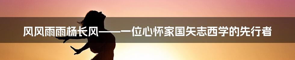 风风雨雨杨长风——一位心怀家国矢志西学的先行者