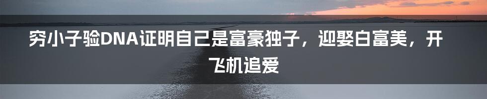 穷小子验DNA证明自己是富豪独子，迎娶白富美，开飞机追爱