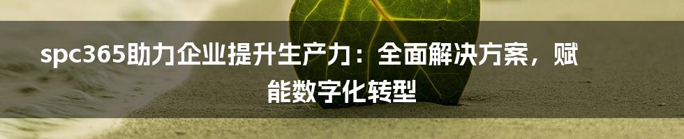 spc365助力企业提升生产力：全面解决方案，赋能数字化转型