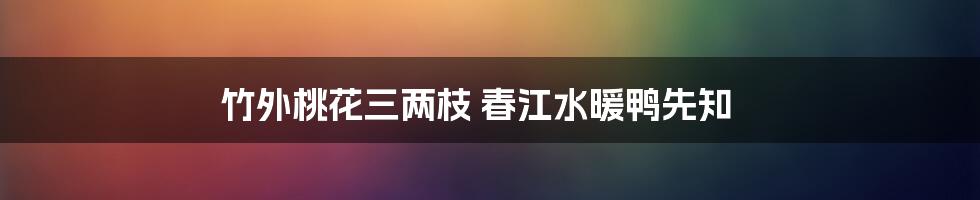 竹外桃花三两枝 春江水暖鸭先知