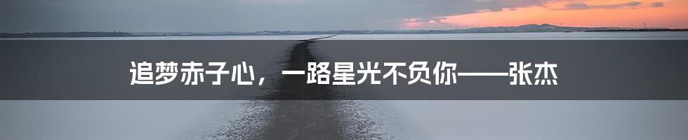 追梦赤子心，一路星光不负你——张杰