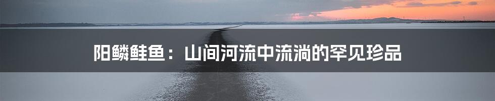 阳鳞鲑鱼：山间河流中流淌的罕见珍品