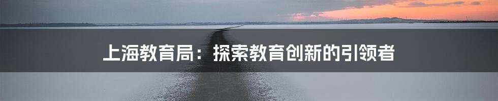 上海教育局：探索教育创新的引领者