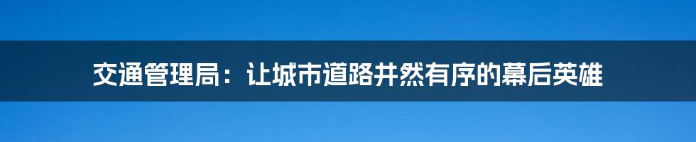 交通管理局：让城市道路井然有序的幕后英雄