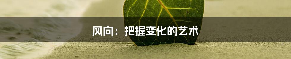 风向：把握变化的艺术