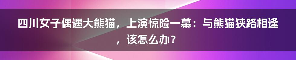 四川女子偶遇大熊猫，上演惊险一幕：与熊猫狭路相逢，该怎么办？