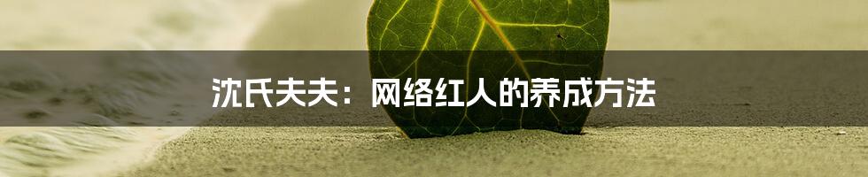 沈氏夫夫：网络红人的养成方法