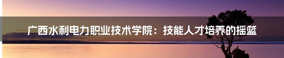 广西水利电力职业技术学院：技能人才培养的摇篮