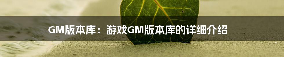 GM版本库：游戏GM版本库的详细介绍