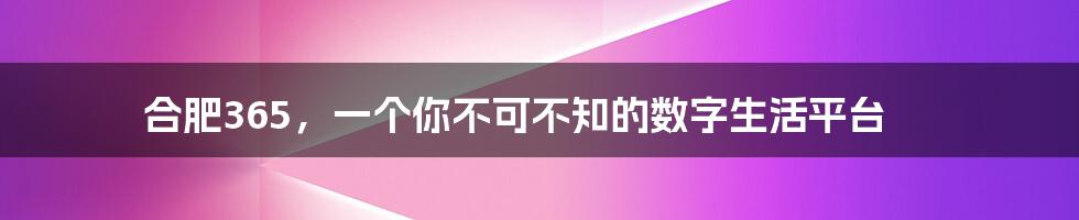 合肥365，一个你不可不知的数字生活平台