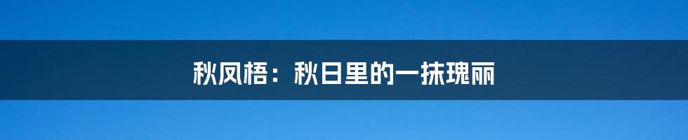 秋凤梧：秋日里的一抹瑰丽