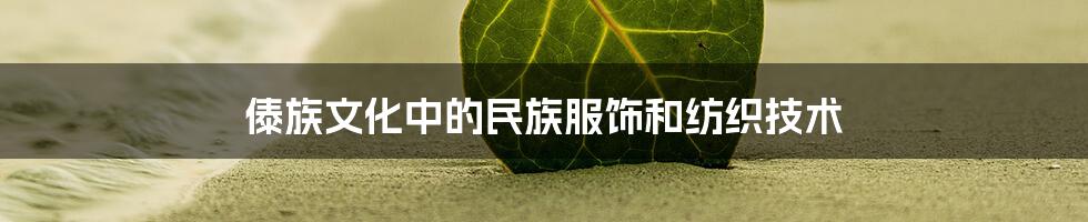 傣族文化中的民族服饰和纺织技术