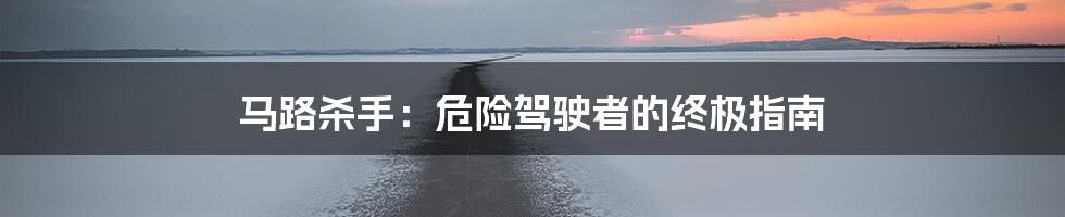 马路杀手：危险驾驶者的终极指南