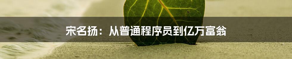 宋名扬：从普通程序员到亿万富翁