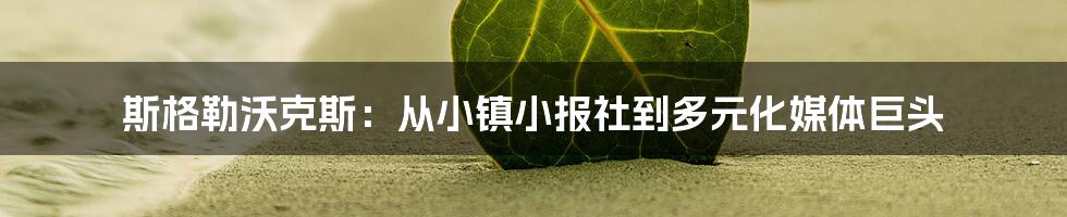 斯格勒沃克斯：从小镇小报社到多元化媒体巨头