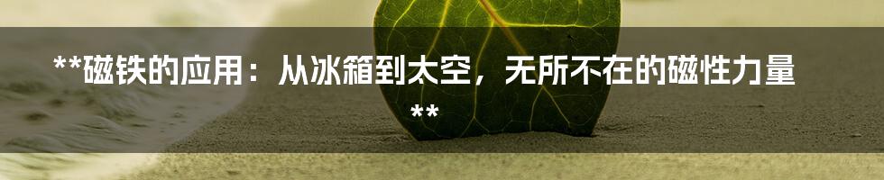 **磁铁的应用：从冰箱到太空，无所不在的磁性力量**