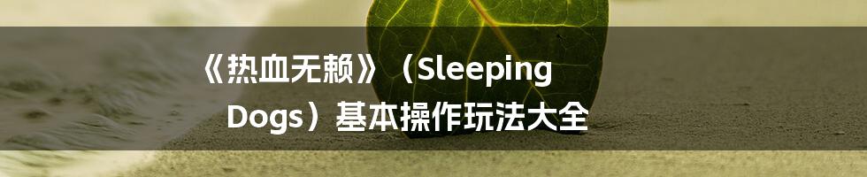 《热血无赖》（Sleeping Dogs）基本操作玩法大全