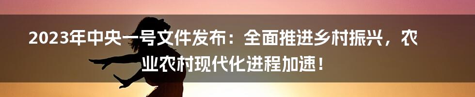 2023年中央一号文件发布：全面推进乡村振兴，农业农村现代化进程加速！