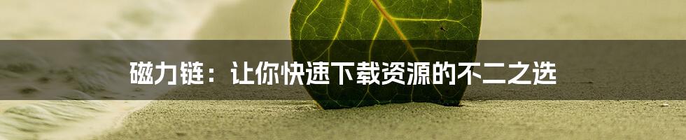 磁力链：让你快速下载资源的不二之选