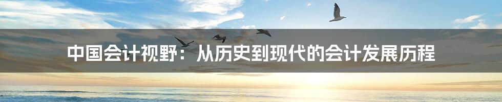 中国会计视野：从历史到现代的会计发展历程