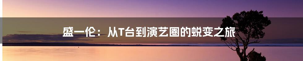 盛一伦：从T台到演艺圈的蜕变之旅