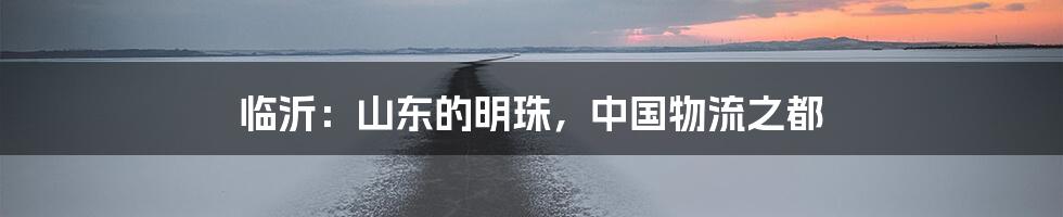 临沂：山东的明珠，中国物流之都