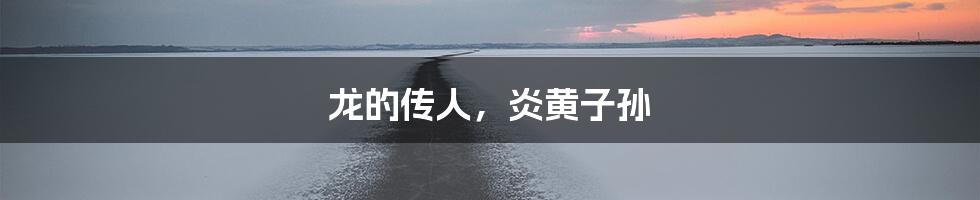 龙的传人，炎黄子孙