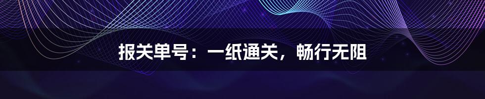 报关单号：一纸通关，畅行无阻